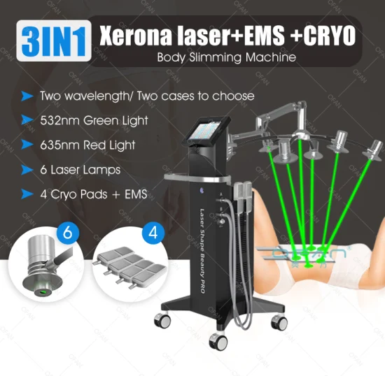 Ofan Beauty Salon Equipment Abnehmen Fett Einfrieren Bester Preis Criolipolisis Maschine Cryolipolysis L 532nm Grüner Laser